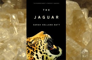 The Jaguar